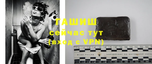 гашик Алексеевка