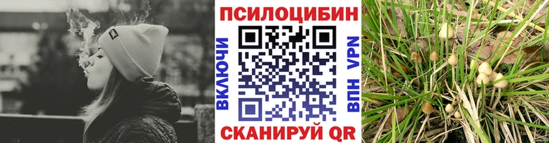 где можно купить наркотик  KRAKEN сайт  Галлюциногенные грибы ЛСД  Апатиты 